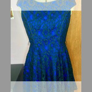 Princess Vera Wang dress